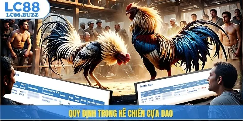 Quy định trong kê chiến cựa dao